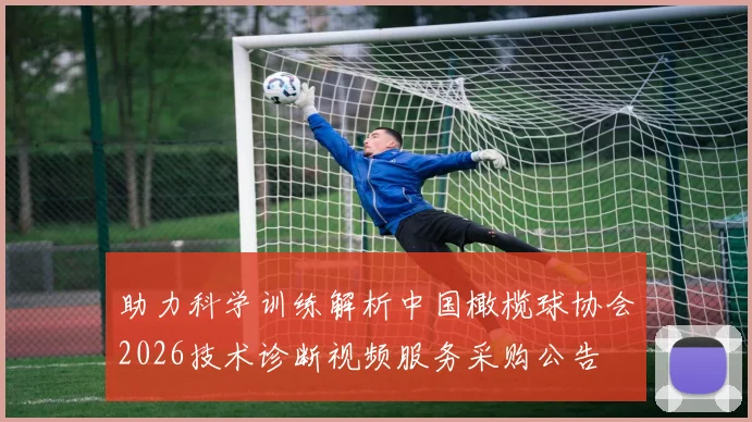 助力科学训练解析中国橄榄球协会2026技术诊断视频服务采购公告
